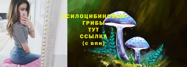 бошки Абинск