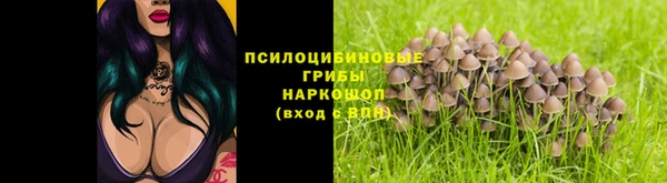 бошки Абинск
