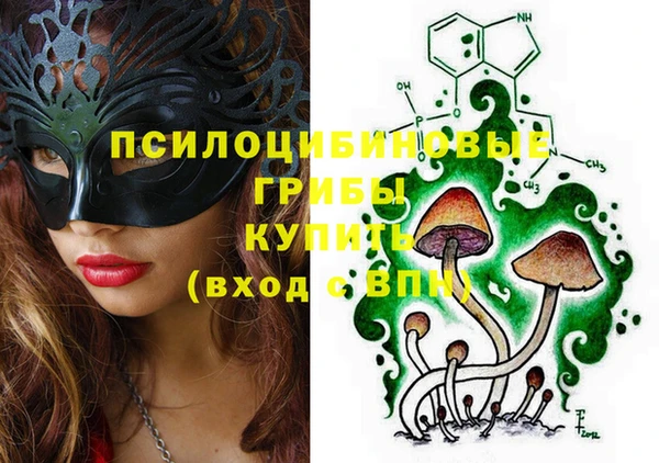 Альфа ПВП Абаза