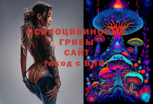 Альфа ПВП Абаза