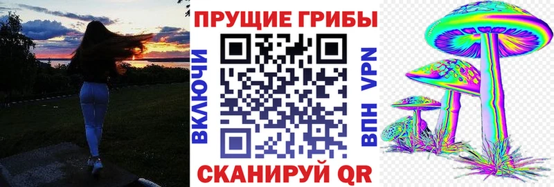Псилоцибиновые грибы Magic Shrooms  Мамадыш 